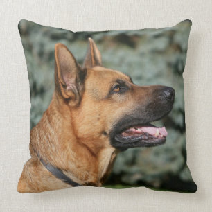 Almofada Headshot 1 do german shepherd
