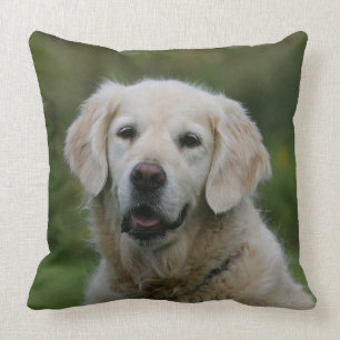 Almofada Headshot 2 do golden retriever