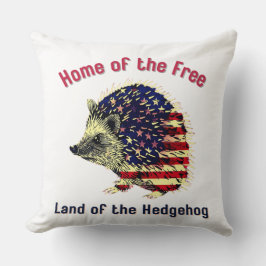 Almofada Hedgehog Flag América