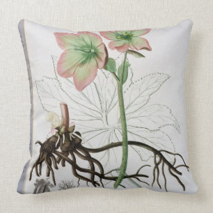 Almofada Helleborus Niger de "Phytographie Medicale" por J