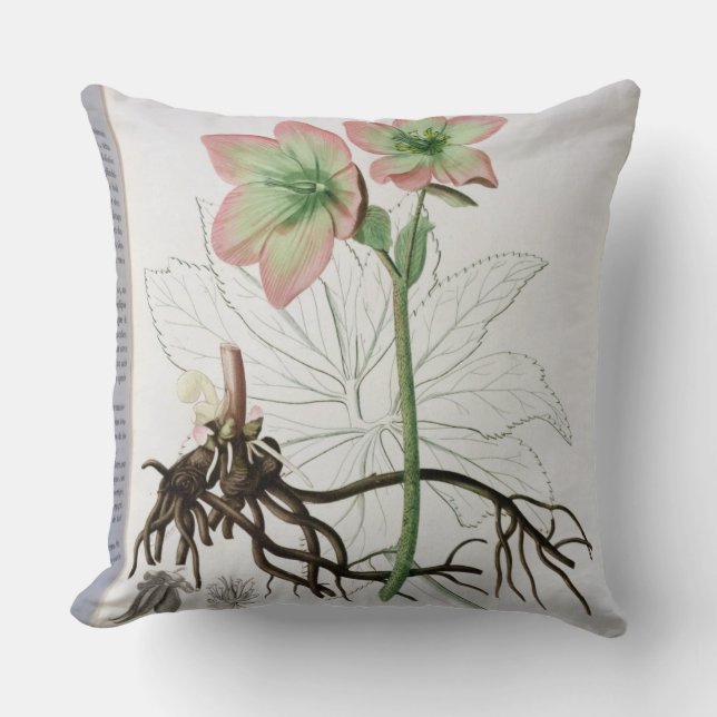 Almofada Helleborus Niger de "Phytographie Medicale" por J (Frente)