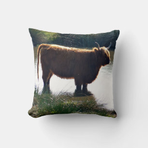 Almofada Highland Cattle