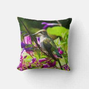Almofada Hummingbird na casa de pousada do Hummingbird