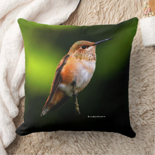 Almofada Hummingbird Rufo Adorável na Árvore Fruta