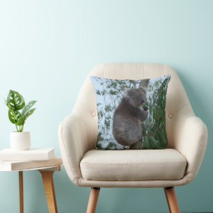 Almofada Ilha Kangaroo, Austrália - Cuta Koala em uma árvor