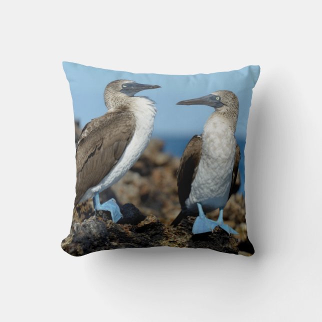Almofada Ilhas Galápagos, Ilha Isabela (Frente)