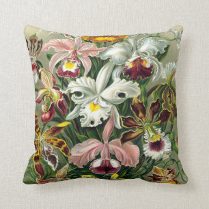 Almofada Ilustração botânica das orquídeas do vintage 1