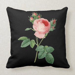 Almofada Ilustração botânica do vintage do rosa do rosa 