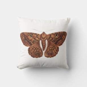 Almofada Ilustração da Borboleta Marrom Vintage