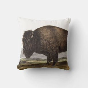 Almofada Ilustração do American Bison (Bos Americanus)
