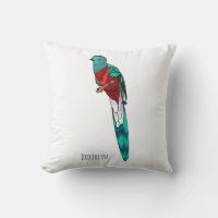 Ilustração quetzal de desenho animado de ave respo