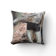 imagem levantada nariz da imagem do animal