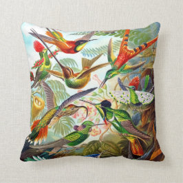 Almofada Impressão 1904 do colibri de Ernst Haeckel no