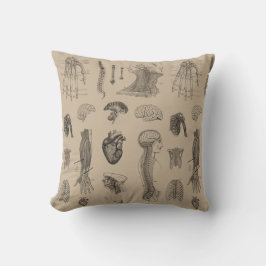 Almofada Impressão da anatomia do vintage