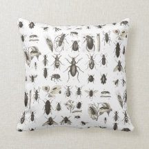 Insetos e entomologia antigos dos insetos