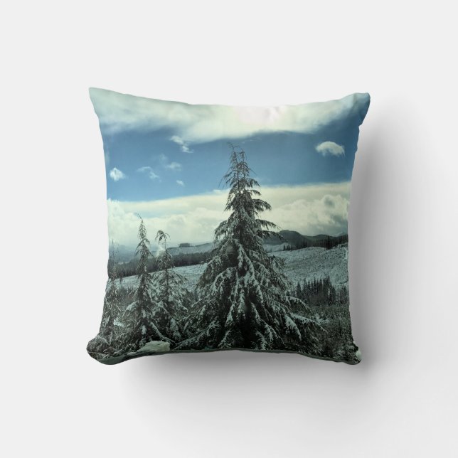 Almofada Inverno na Floresta Estadual de Tillamook, Oregon (Frente)