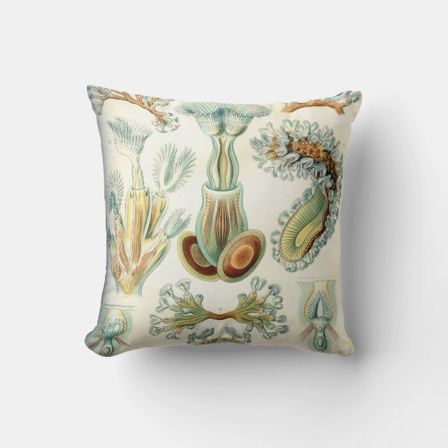 Almofada Invertebrado dos Bryozoa de Ernst Haeckel (Frente)