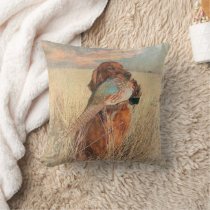 Almofada Irish Setter com faisão
