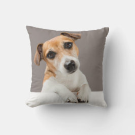 Almofada Jack Russell Puppy Sweet Adorable Baby Jack