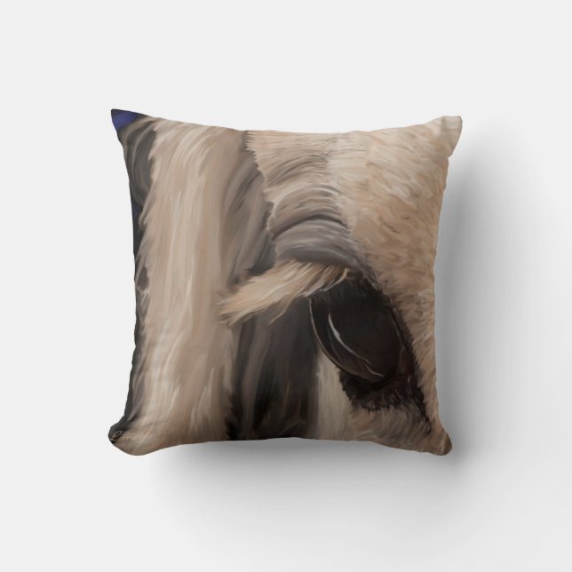 Almofada Janela da alma (Frente)