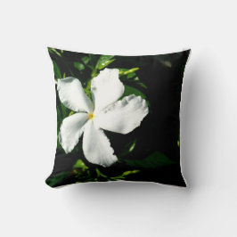 Almofada Jasmim com roda branca à luz do sol