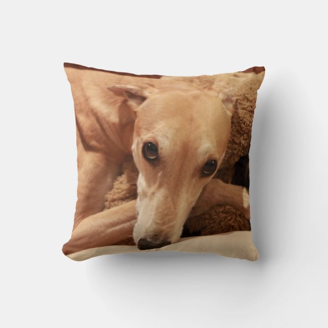 Almofada Jax em seu descanso (Frente)