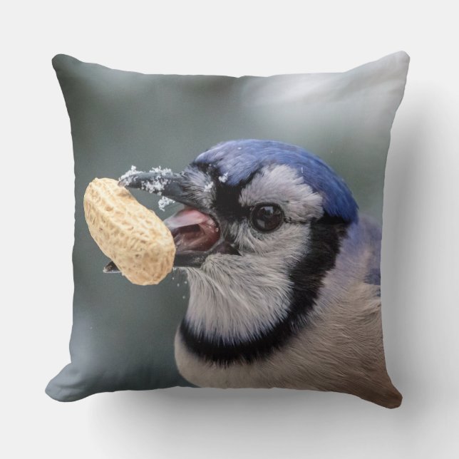Almofada Jay azul com amendoim (Frente)