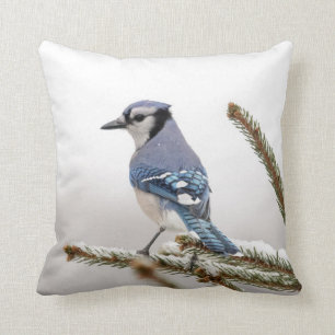 Almofada Jay azul no inverno