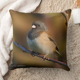 Almofada Junco Escuro-Eyed em um membro