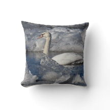 Juvenil Swan no Rio Icey