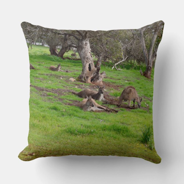 Almofada Kangaroo Siesta, Grande Cushion. (Frente)