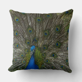 Almofada Kauai Peacock