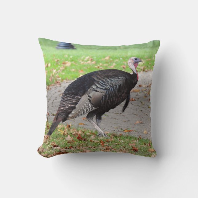 Almofada Kevin The Turkey - Old Wethersfield , CT (2 lados) (Frente)