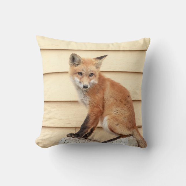 Almofada Kit de Raposa Vermelha no Vale do Hudson (Frente)