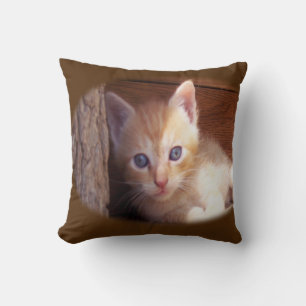 Almofada Kitten