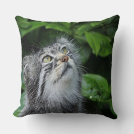 Almofada Kitten Dizendo Uma Oração