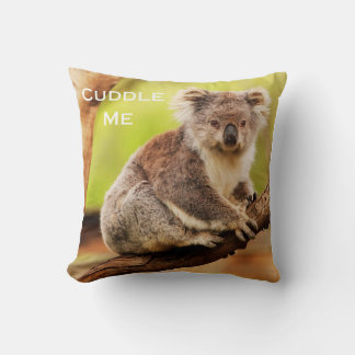 Almofada Koala australiana bonita em uma árvore de goma Euc