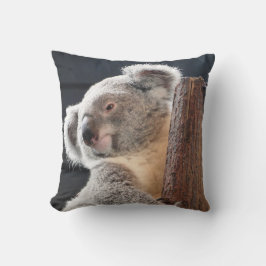 Almofada Koala australiano