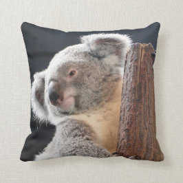 Almofada Koala australiano