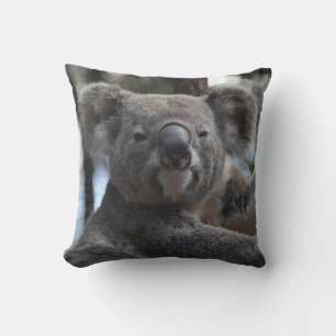 Almofada Koala Bear em árvore
