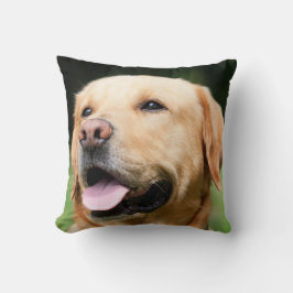 Almofada Laboratório de ouros - Alma de um Cão