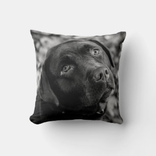 Almofada Laboratório Preto - Coração de um Cachorro