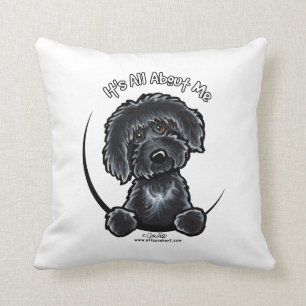 Almofada Labradodle preto IAAM
