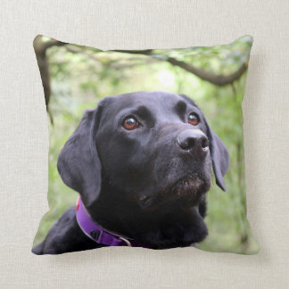 Almofada Labrador preto