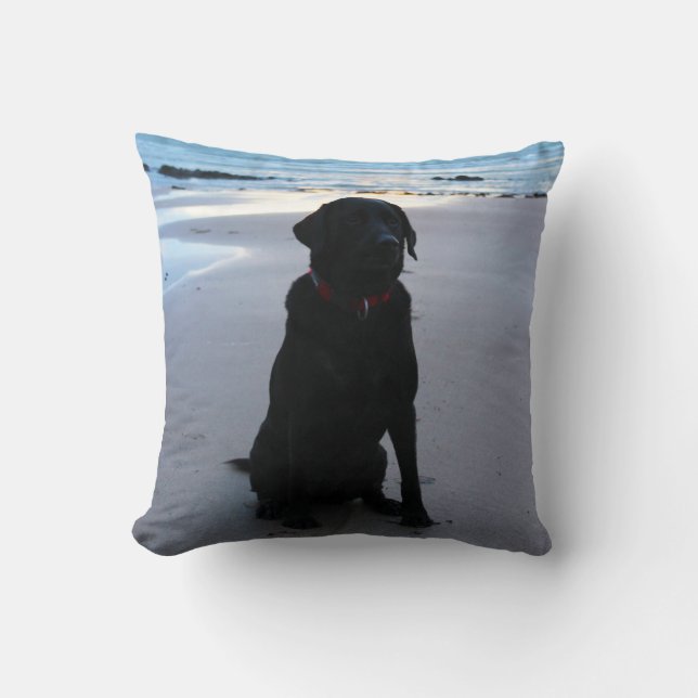 Almofada Labrador preto em uma praia (Frente)