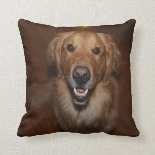 Almofada Labrador retriever
