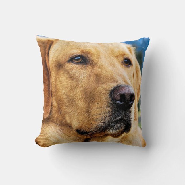 Almofada Labrador retriever dourado (Frente)