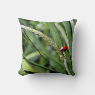 Almofada Ladybug (Coccinellidae)