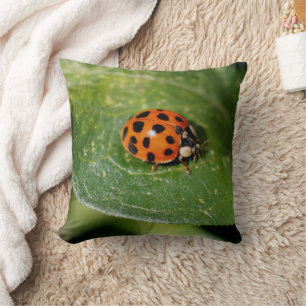 Almofada Ladybug Nature Insett American MoJo Travesseiro