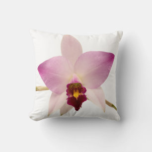 Almofada Laelia Ancep